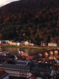Heidelberg forbetterorwurst.com